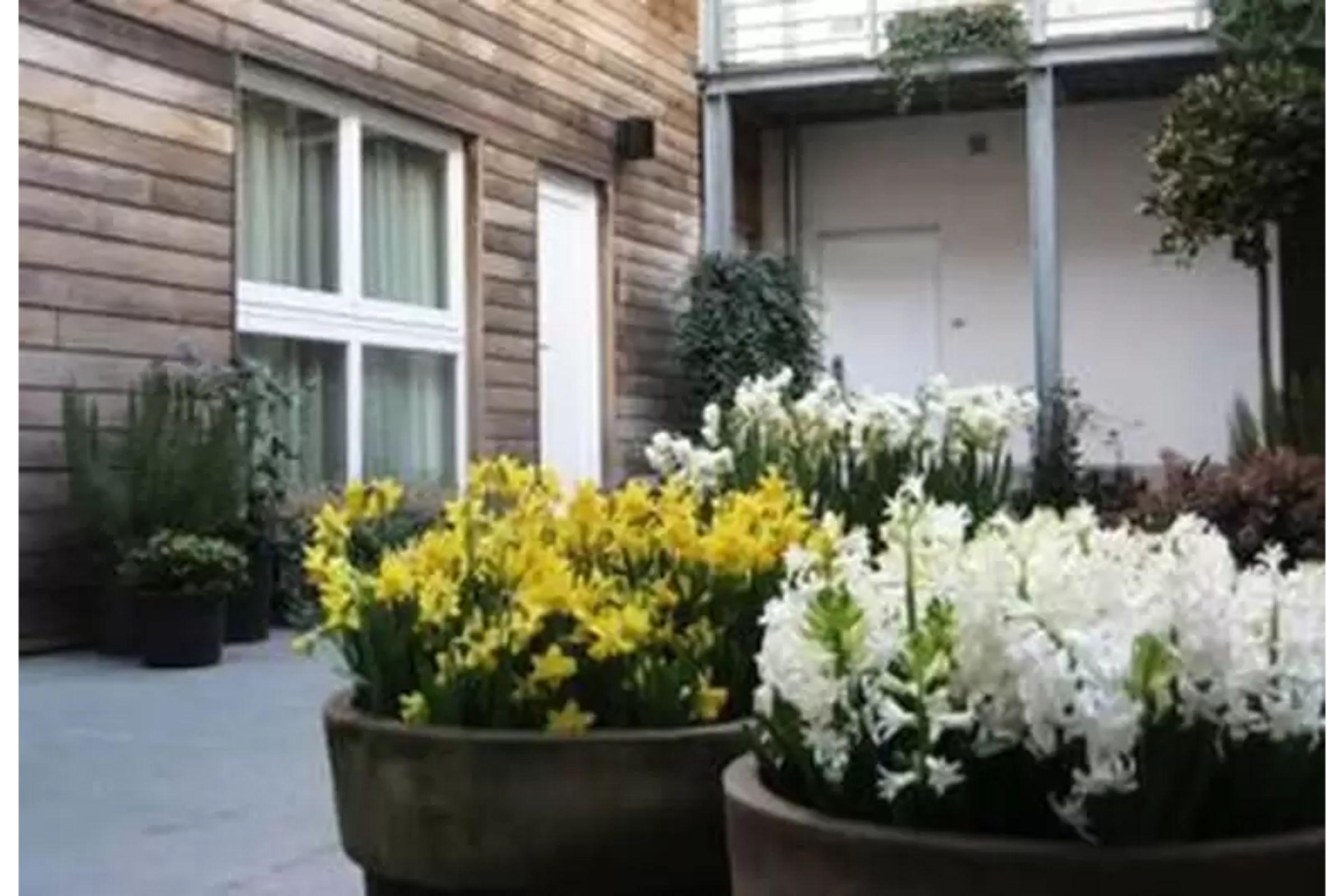 De Flandre Hotel Gante